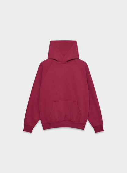 Aritzia Cozy Sweat Hoodie & Pants Set