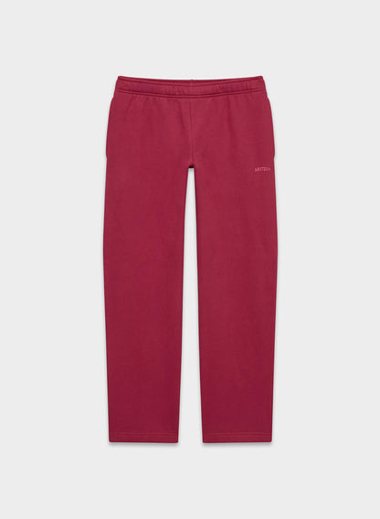 Aritzia Cozy Sweat Hoodie & Pants Set