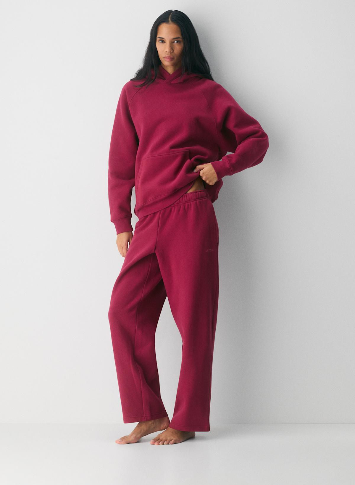 Aritzia Cozy Sweat Hoodie & Pants Set