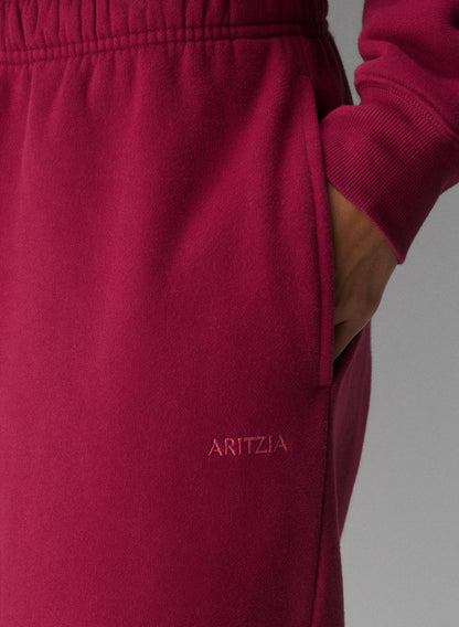 Aritzia Cozy Sweat Hoodie & Pants Set