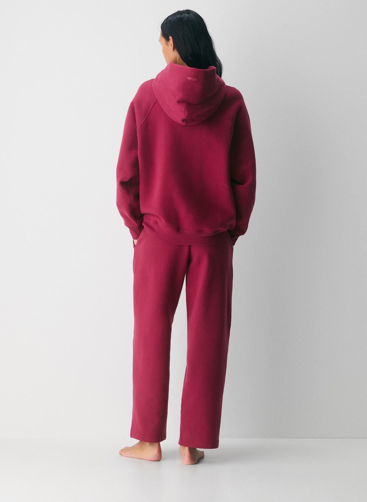 Aritzia Cozy Sweat Hoodie & Pants Set